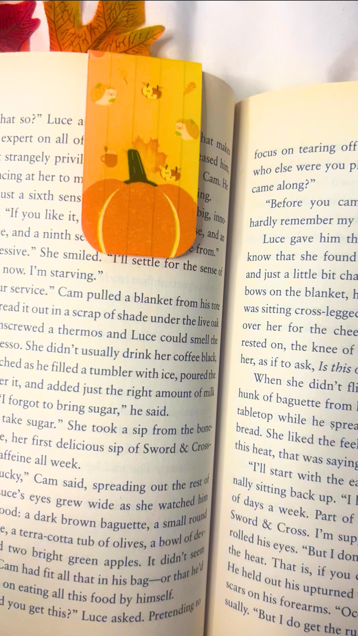 Autumn Magnetic Bookmarks for Book Lovers