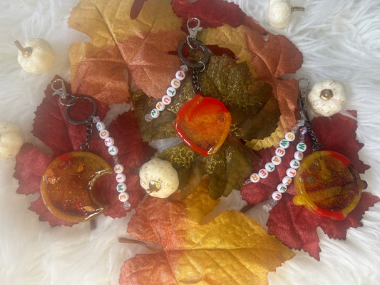 Seasonal Shaker Keychain Charms - Unique Design with Cat, Moon & Many Other Shapes